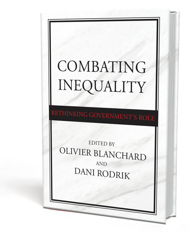 Combating Inequality: Rethinking Government's Role