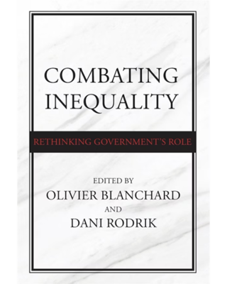 Combating Inequality: Rethinking Government's Role