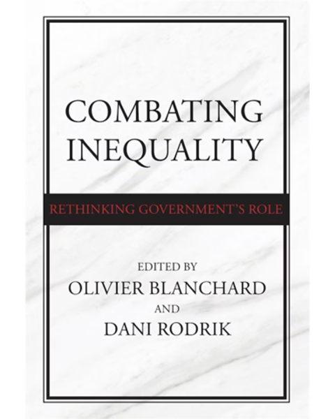 Combating Inequality: Rethinking Government's Role